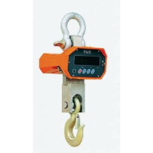 Crane Scales Measuring Range 1000Kg | QualityJack